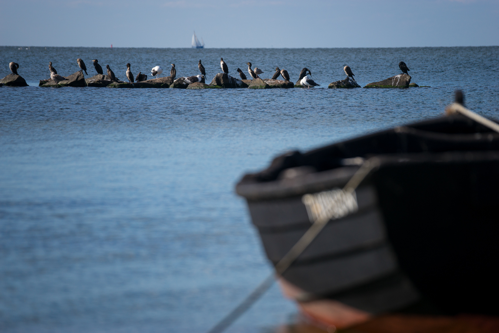 20160919 113751 Thiessow